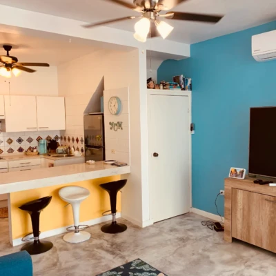 The Bonaire House